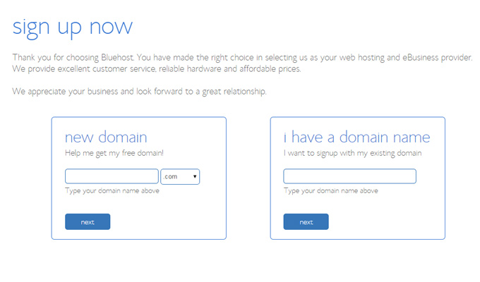 bluehost choose register a new domain