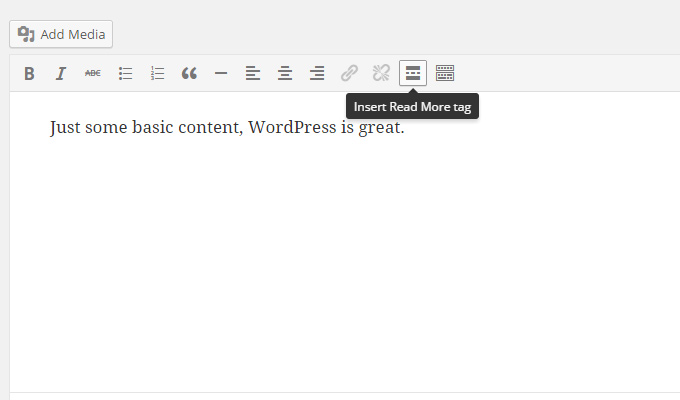 read more visual editor wordpress excerpt